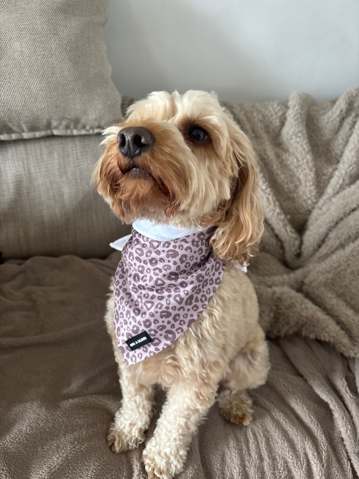 Mocha Cow Print Neck Scarf / Bandana