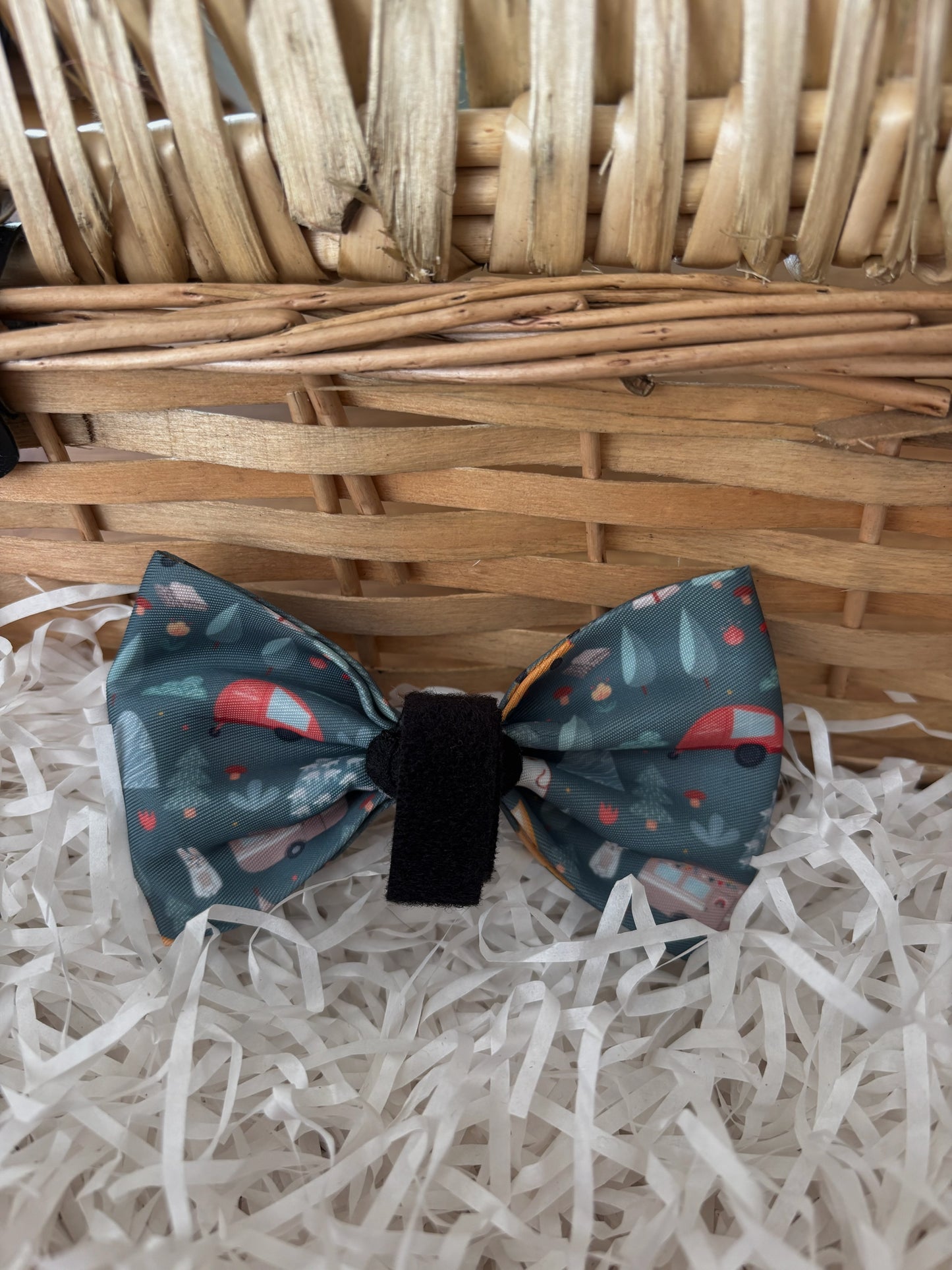 Outdoor Explorer Bow Tie