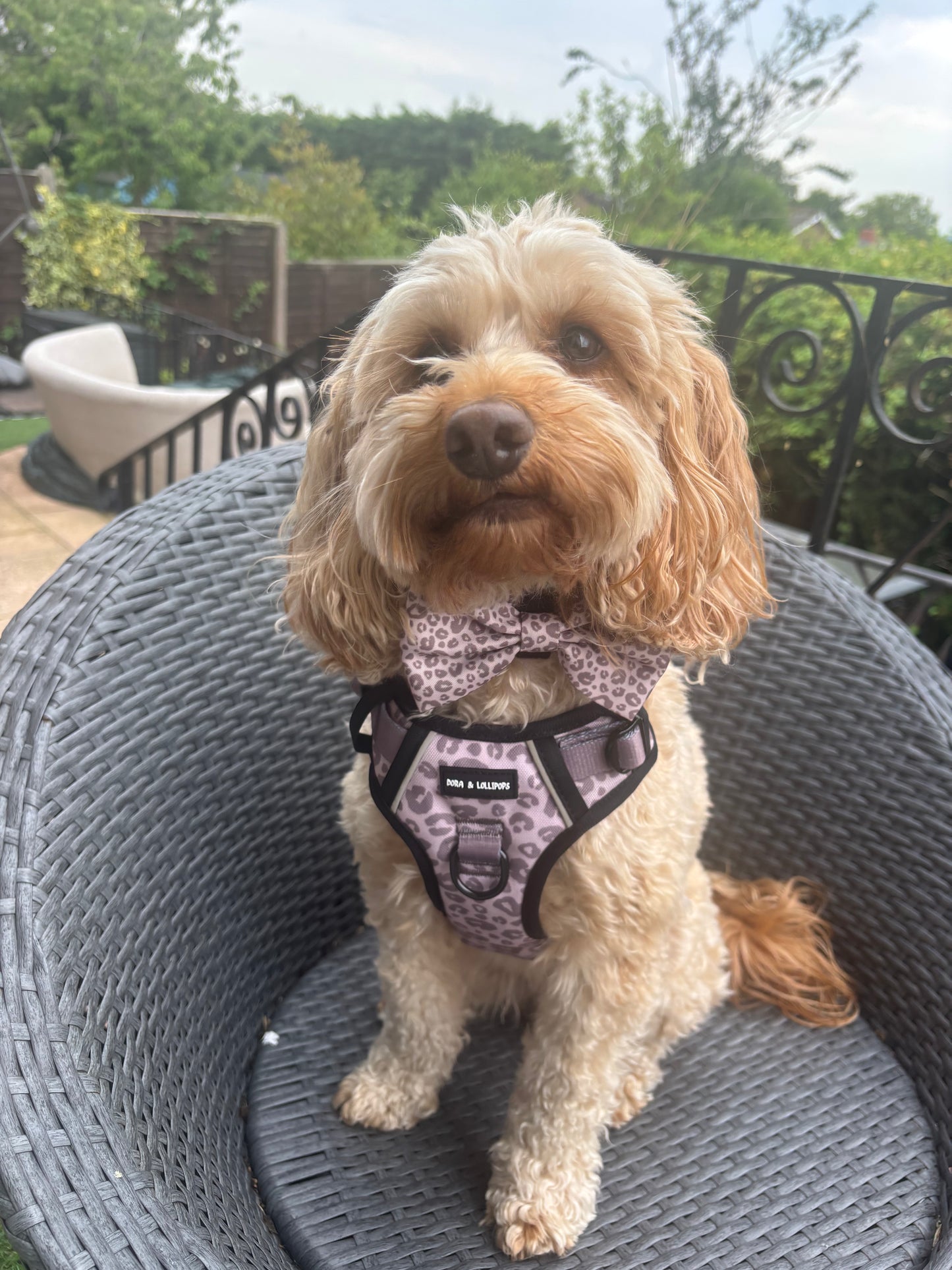 Mocha Cow Print Bow Tie - Trendy Dog Accessory!