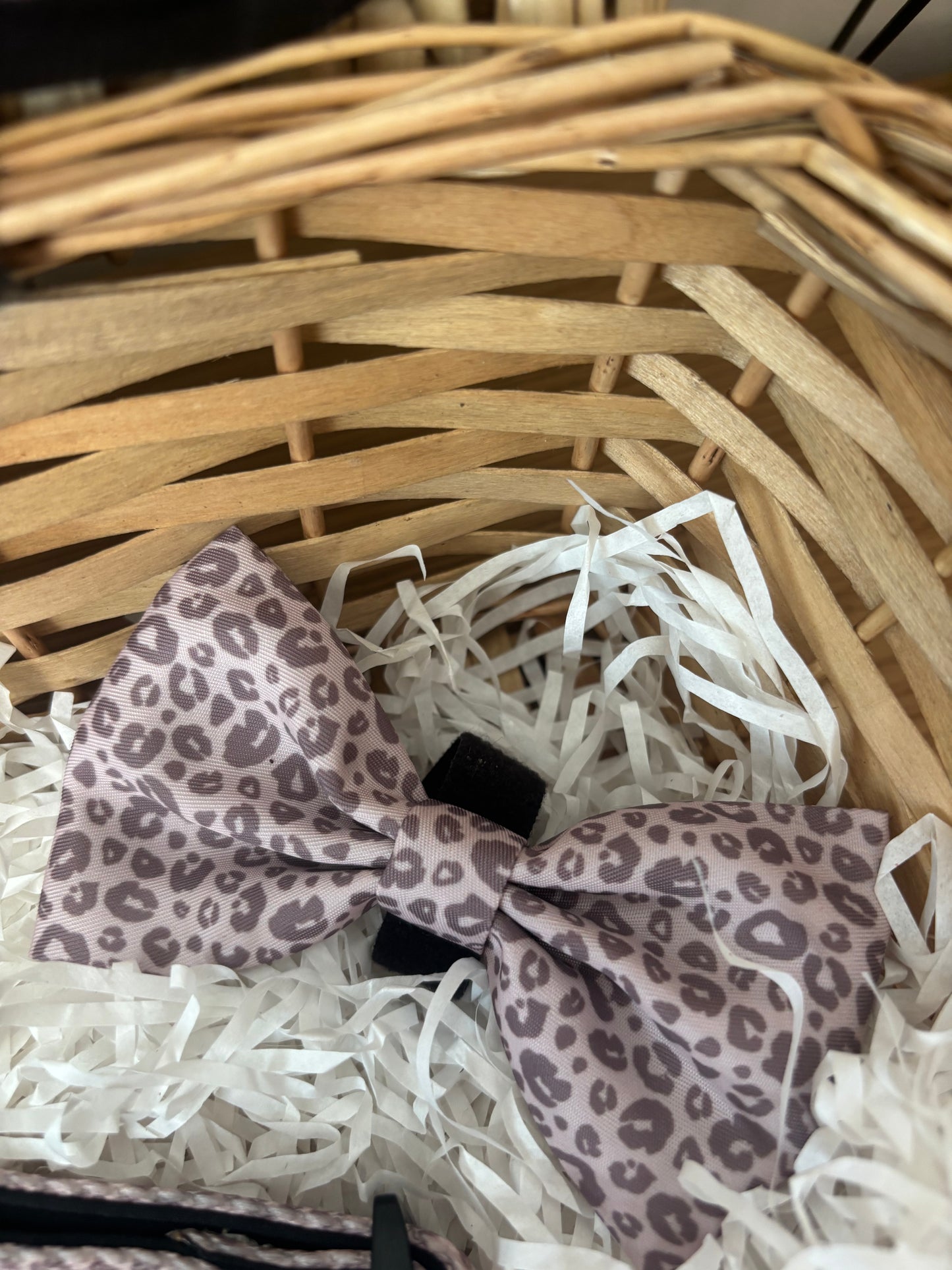 Mocha Cow Print Bow Tie - Trendy Dog Accessory!