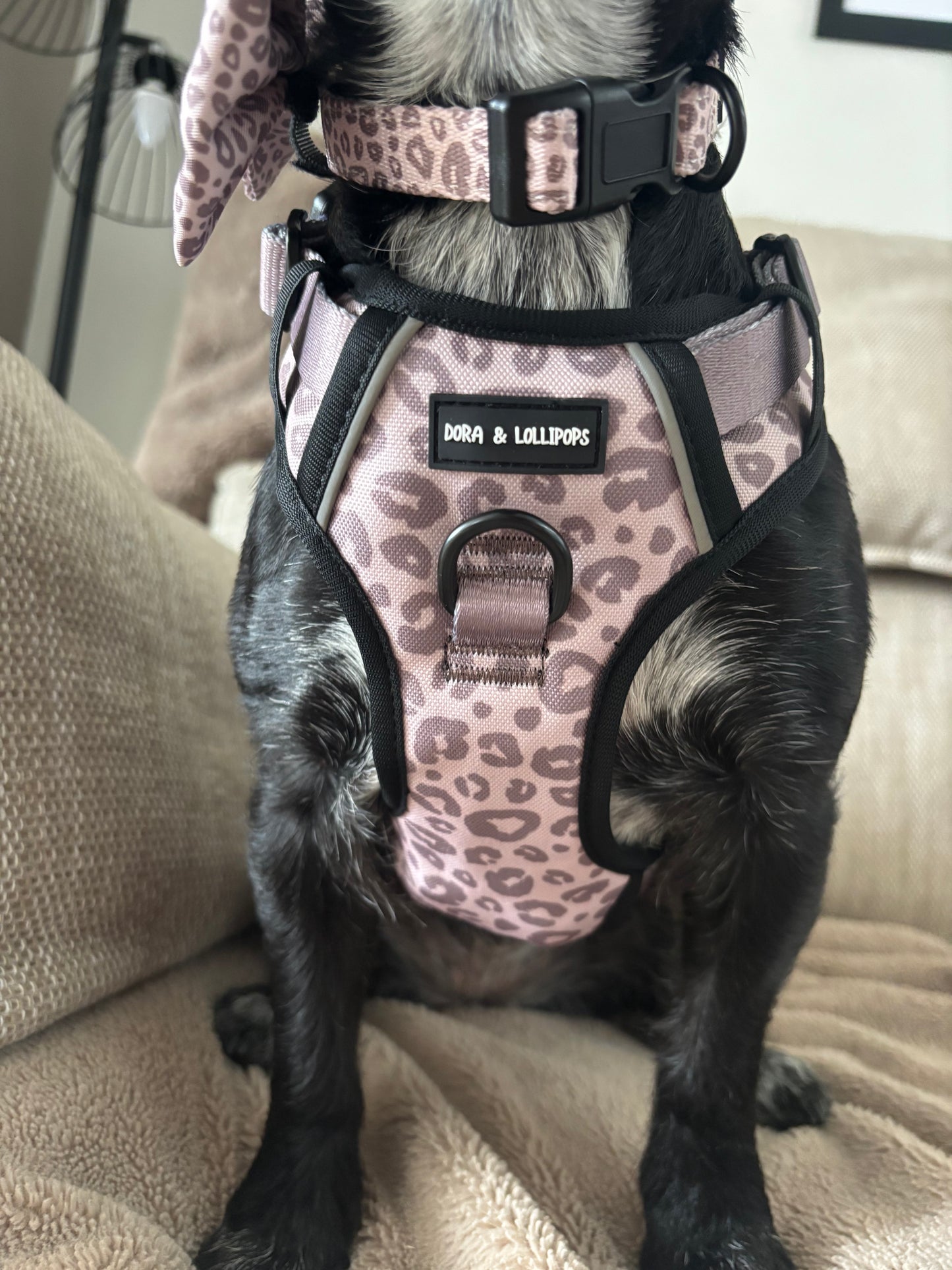 Mocha Cow Print No Pull Adventure Harness