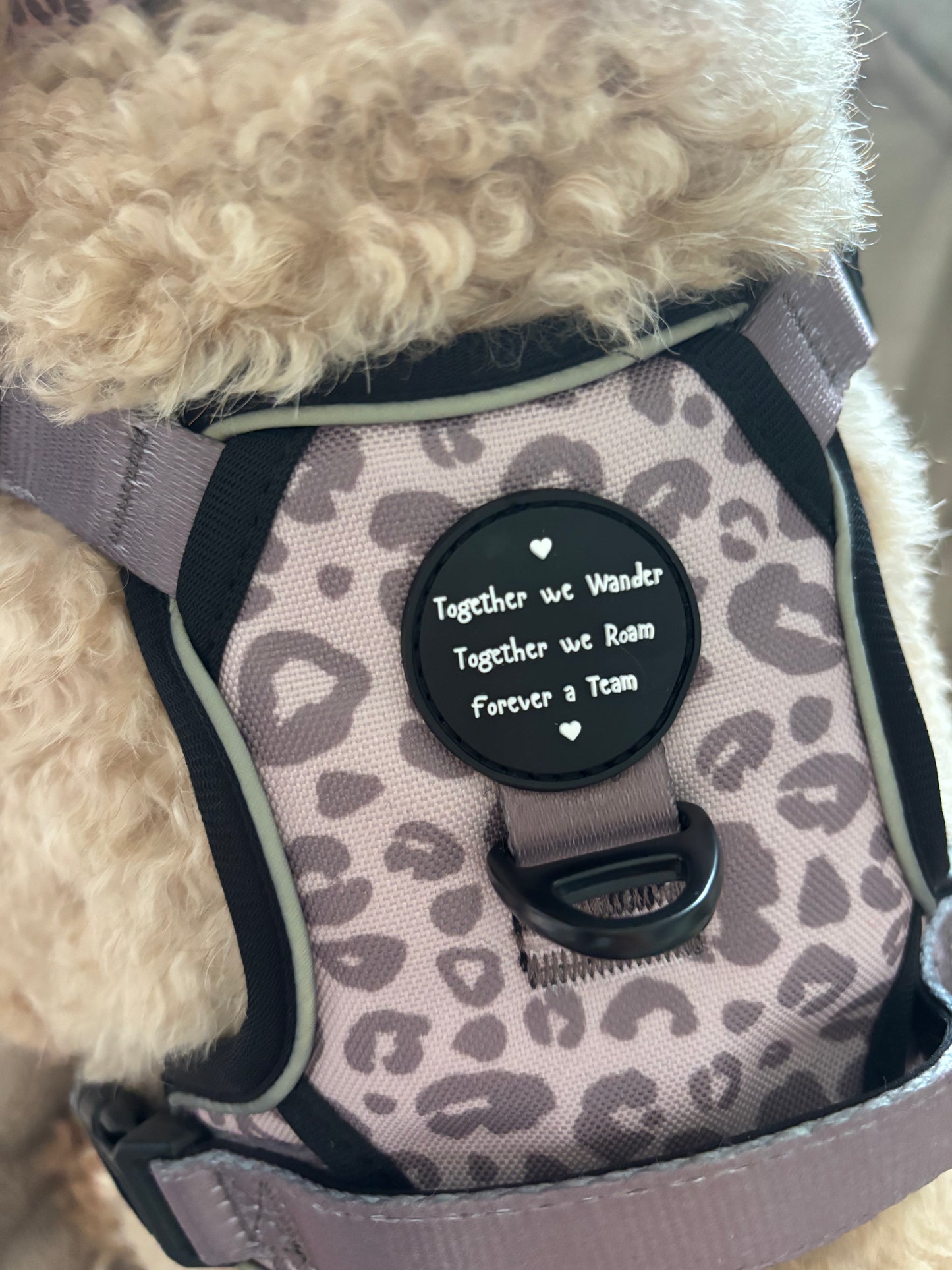Mocha Cow Print No Pull Adventure Harness