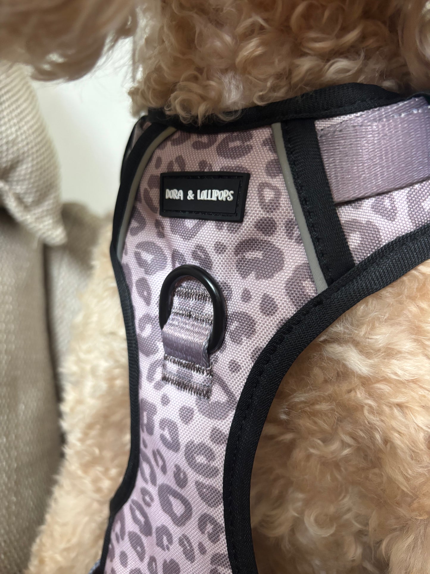 Mocha Cow Print No Pull Adventure Harness
