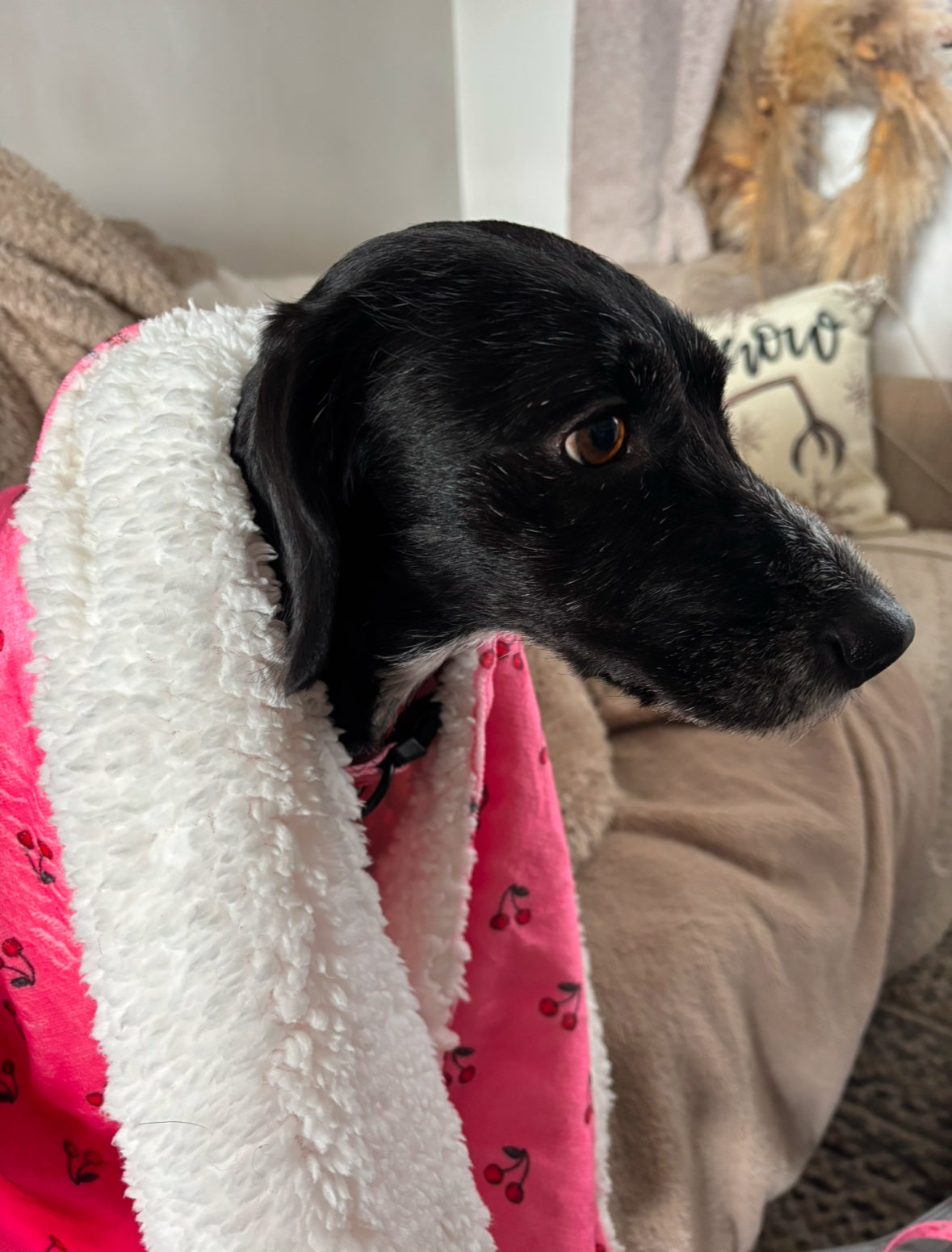 Cherry Drops Fleece Snuggle Blanket