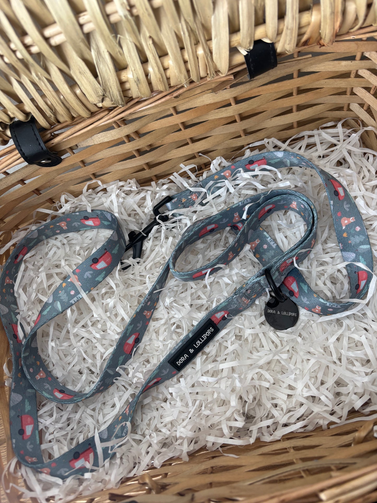 Outdoor Explorer Dog Lead