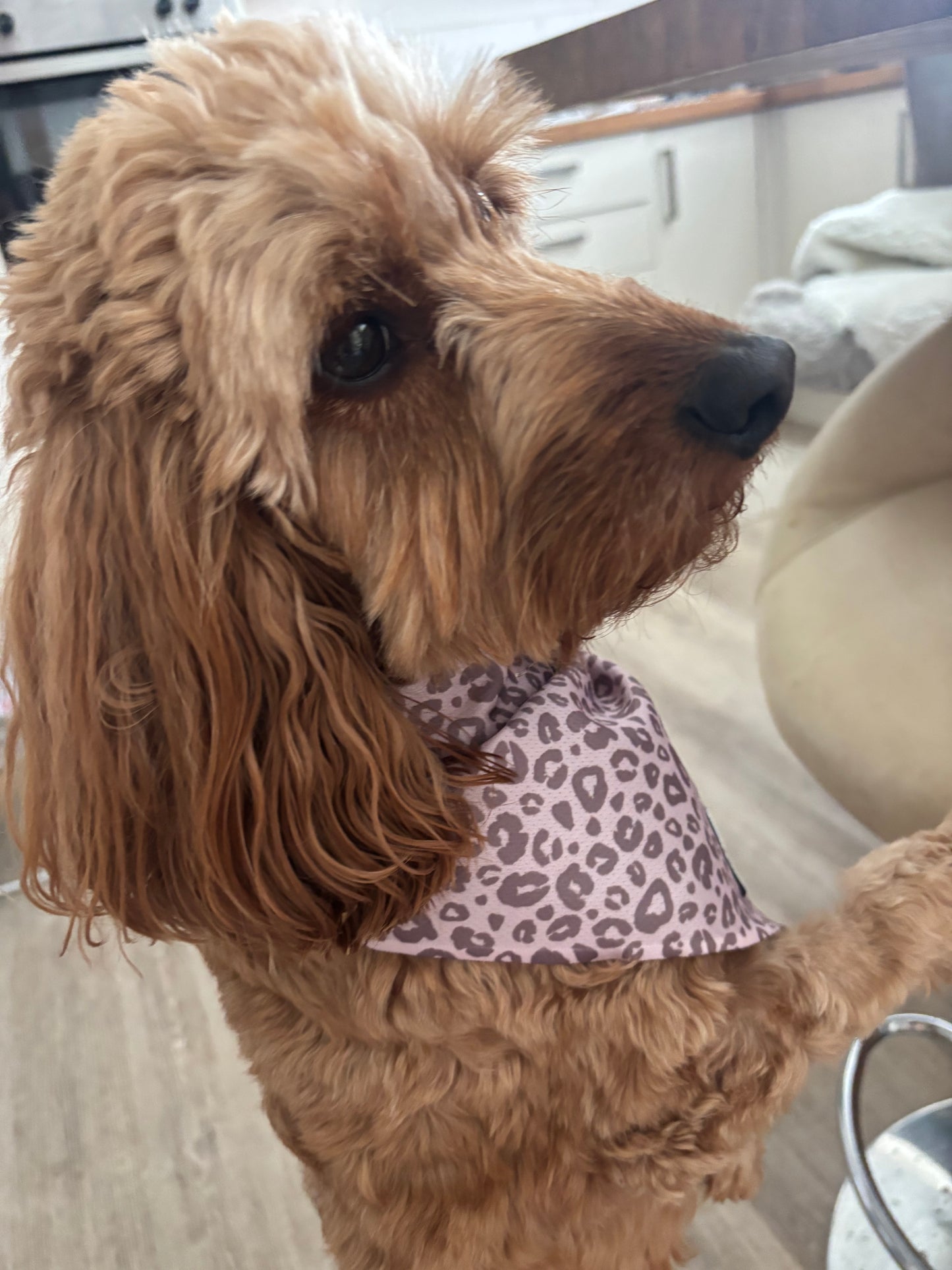 Mocha Cow Print Neck Scarf / Bandana