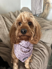 Mocha Cow Print Neck Scarf / Bandana