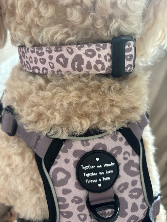 Mocha Cow Print Quick Release Dog Collar
