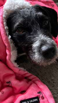 Cherry Drops Fleece Snuggle Blanket