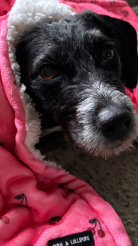 Cherry Drops Fleece Snuggle Blanket
