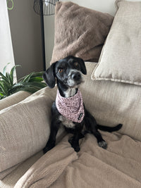 Mocha Cow Print Neck Scarf / Bandana