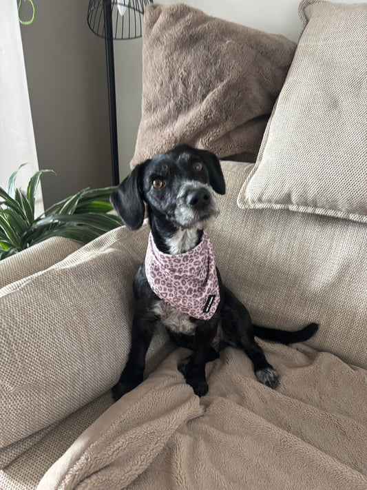 Mocha Cow Print Neck Scarf / Bandana
