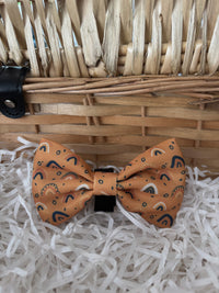 Boho Rainbows Bow Tie