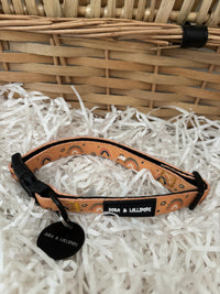Boho Rainbows Dog Collar