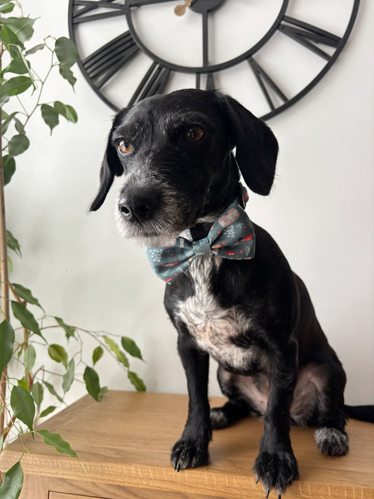 Outdoor Explorer Bow Tie