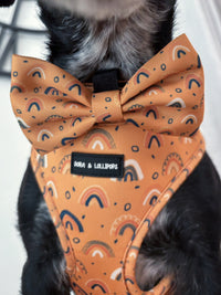 Boho Rainbows Bow Tie