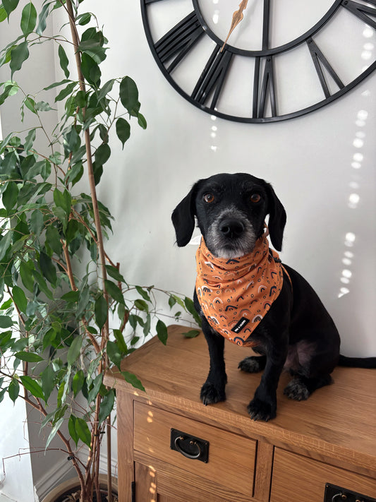 Boho Rainbows Bandana / Neck Scarf