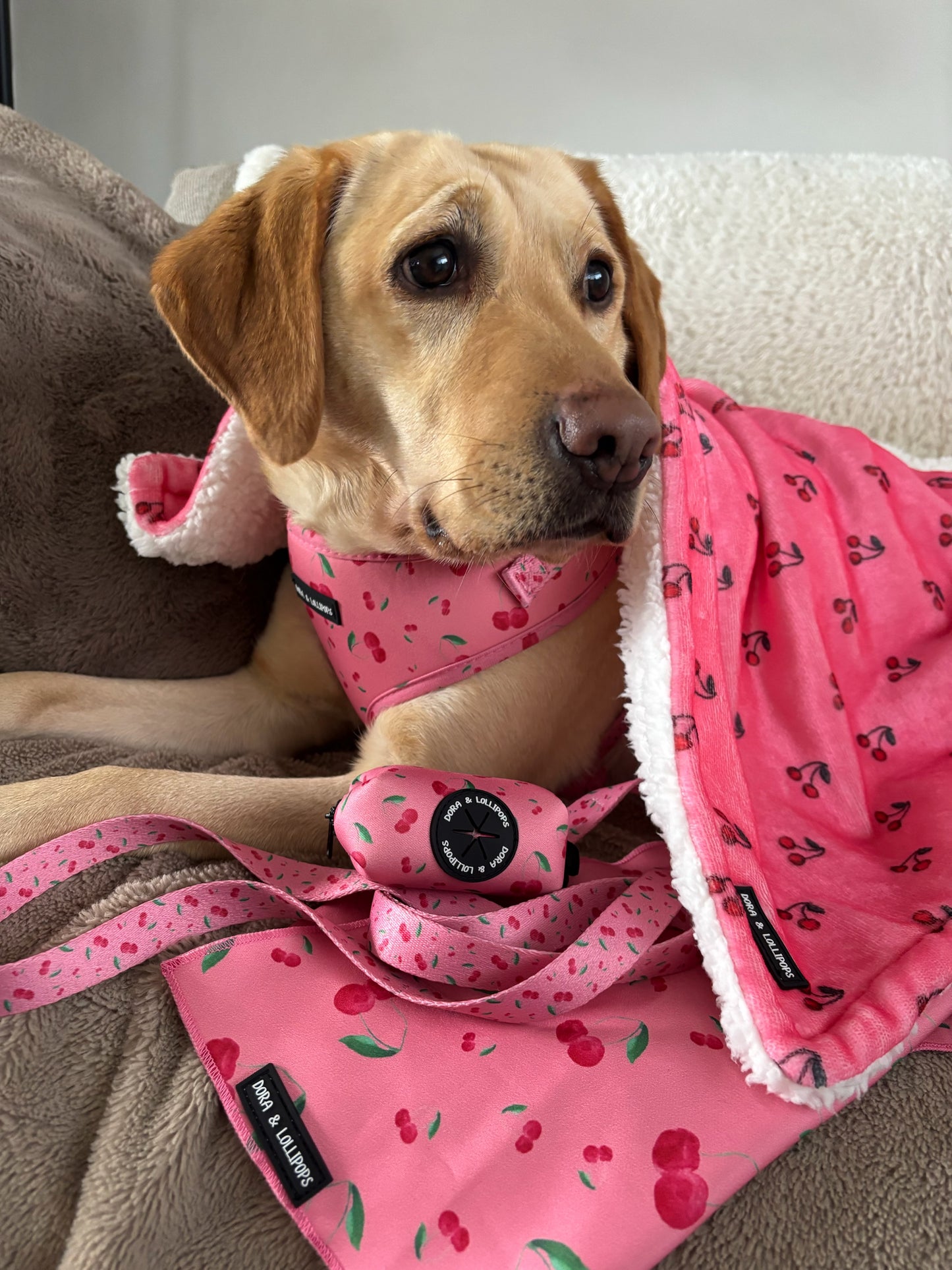 Cherry Drops Fleece Snuggle Blanket