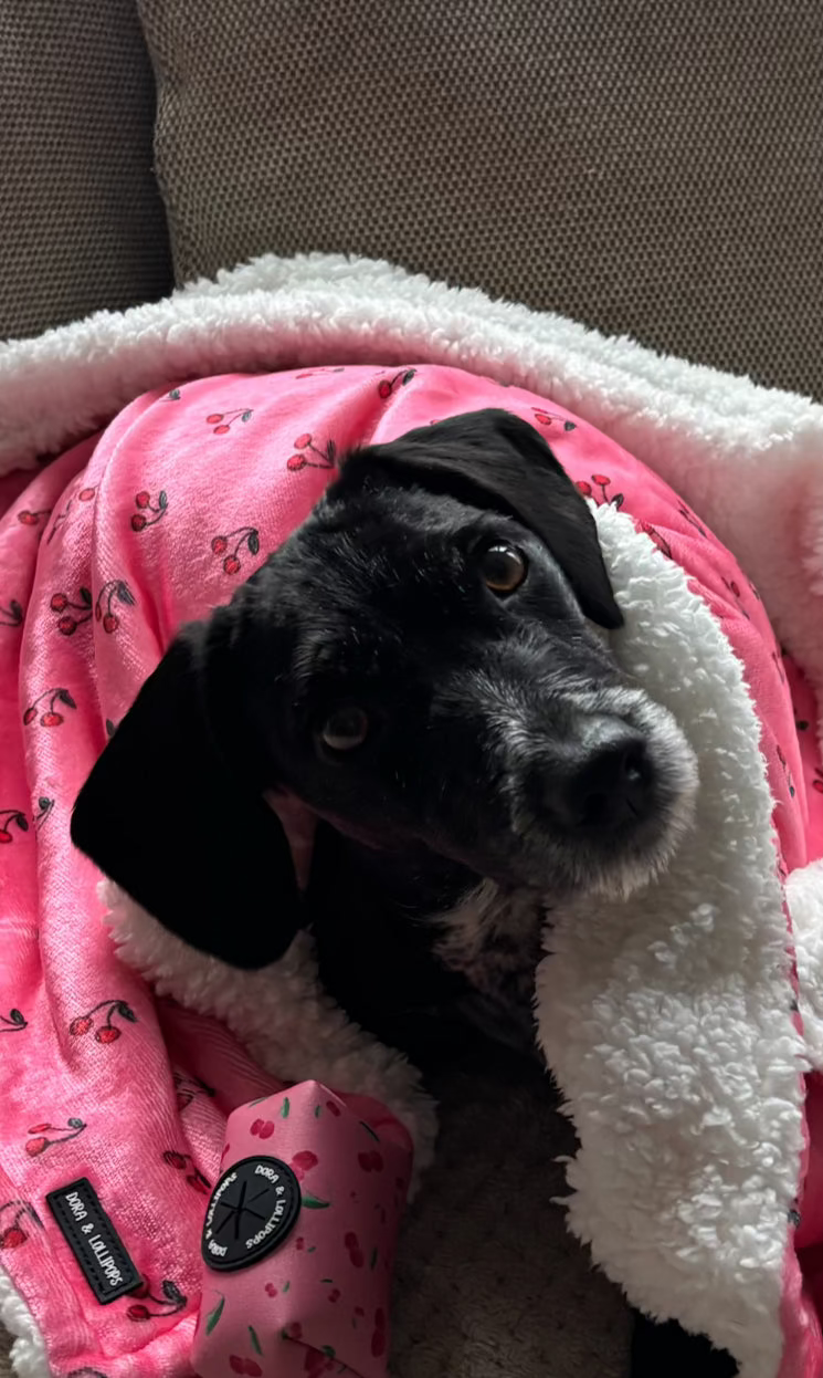 Cherry Drops Fleece Snuggle Blanket