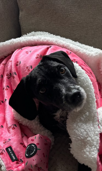 Cherry Drops Fleece Snuggle Blanket