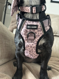 Mocha Cow Print No Pull Adventure Harness