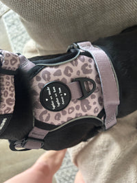 Mocha Cow Print No Pull Adventure Harness