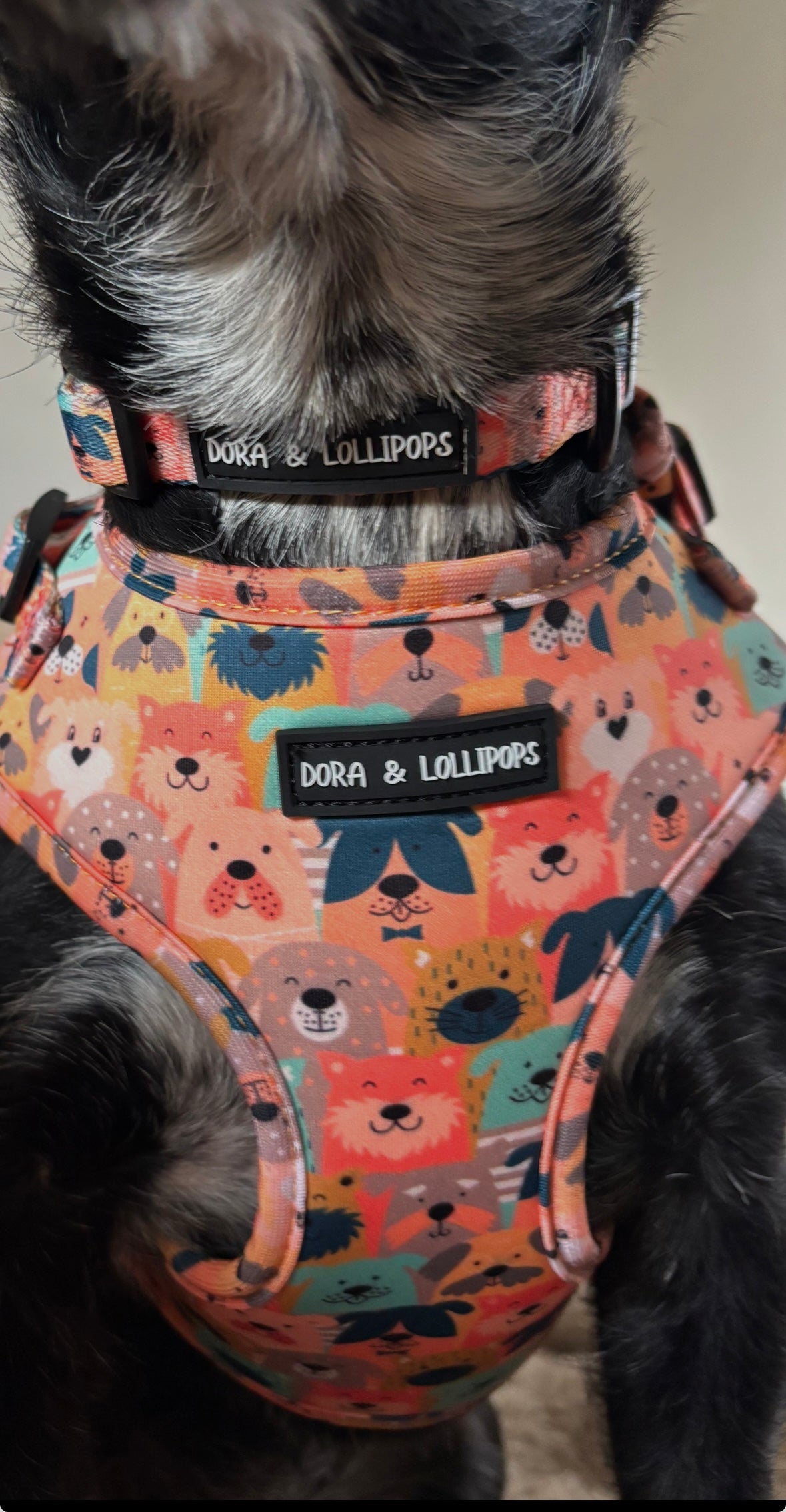 Dogs Club Neoprene Dog Harness