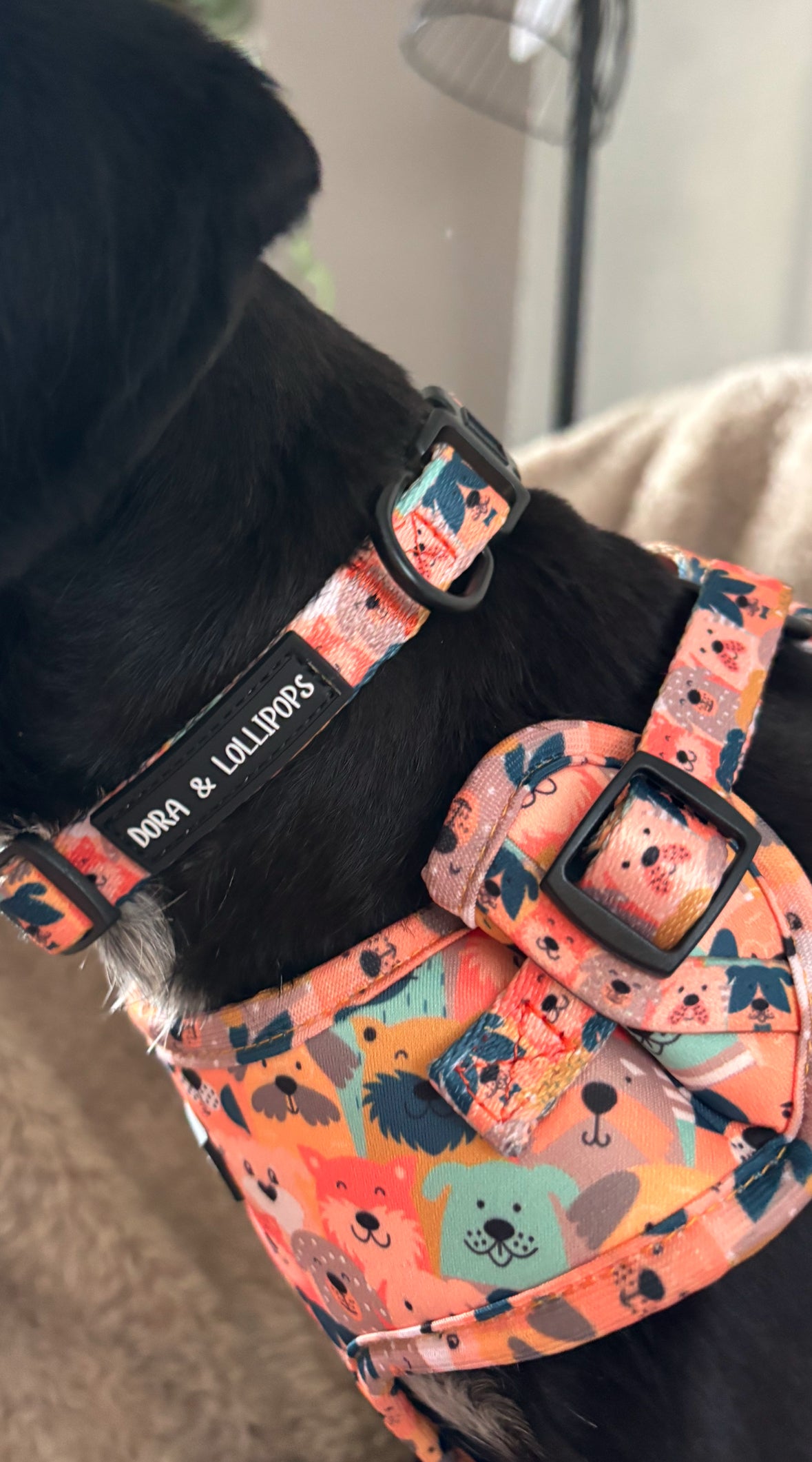 Dogs Club Neoprene Dog Harness