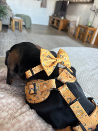 Boho Rainbows Bow Tie