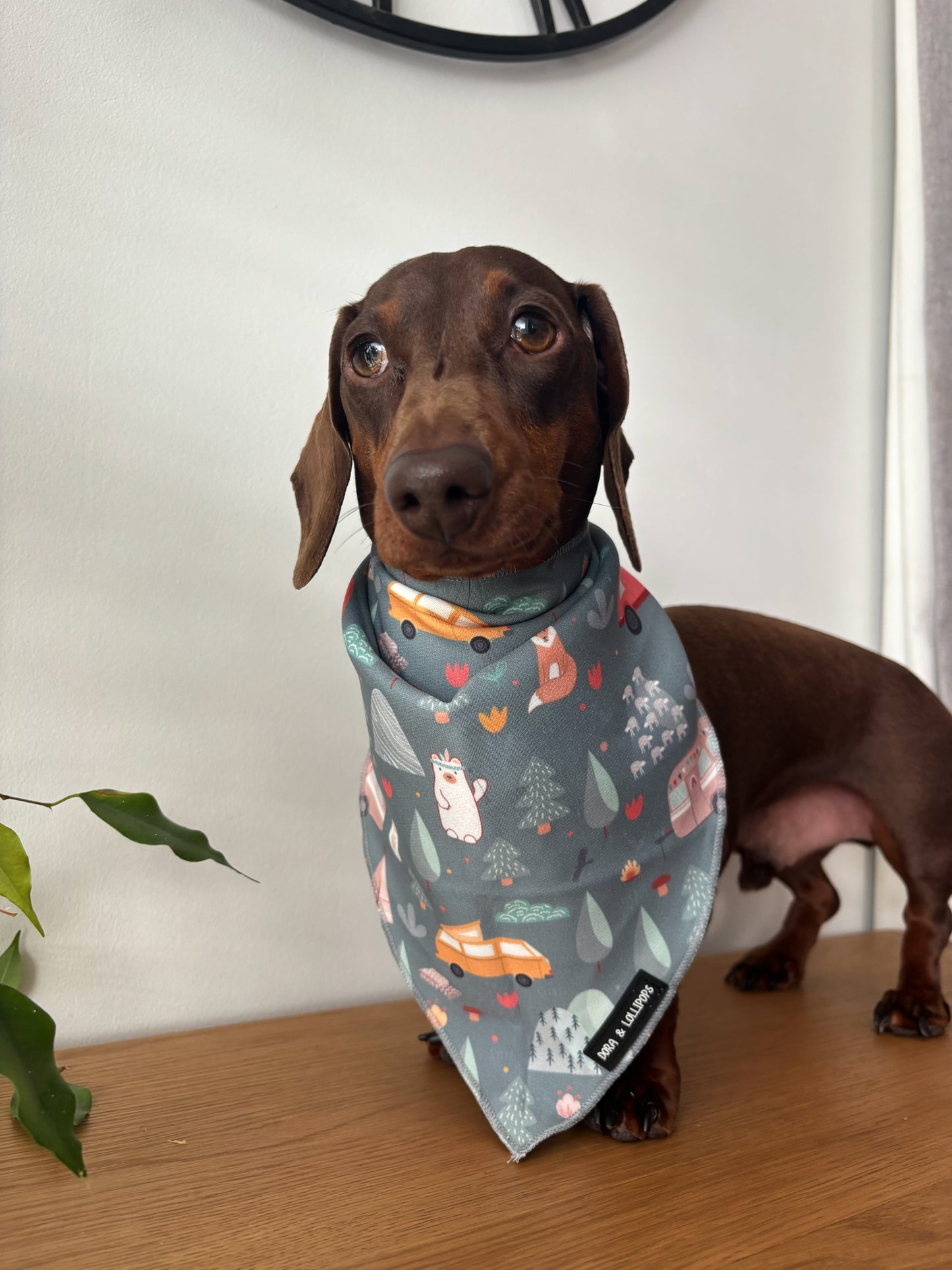 Outdoor Explorer Bandana / Neck Scarf