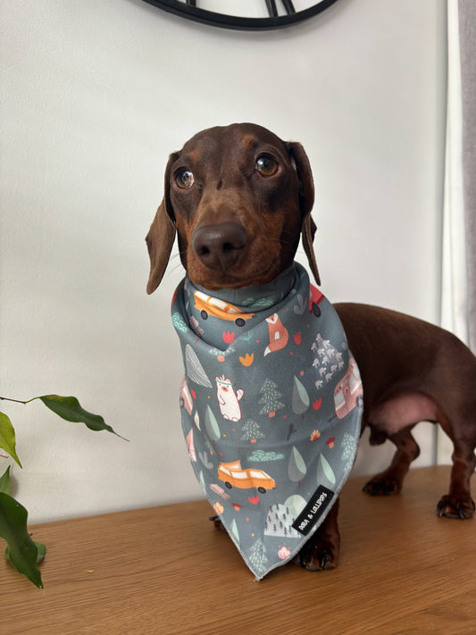 Outdoor Explorer Bandana / Neck Scarf