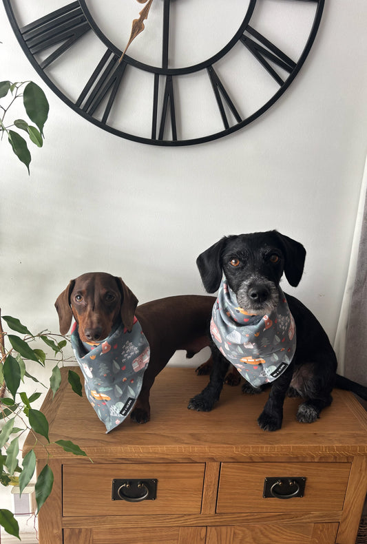 Outdoor Explorer Bandana / Neck Scarf