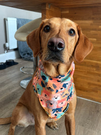 Dogs Club Bandana/ Neck Scarf