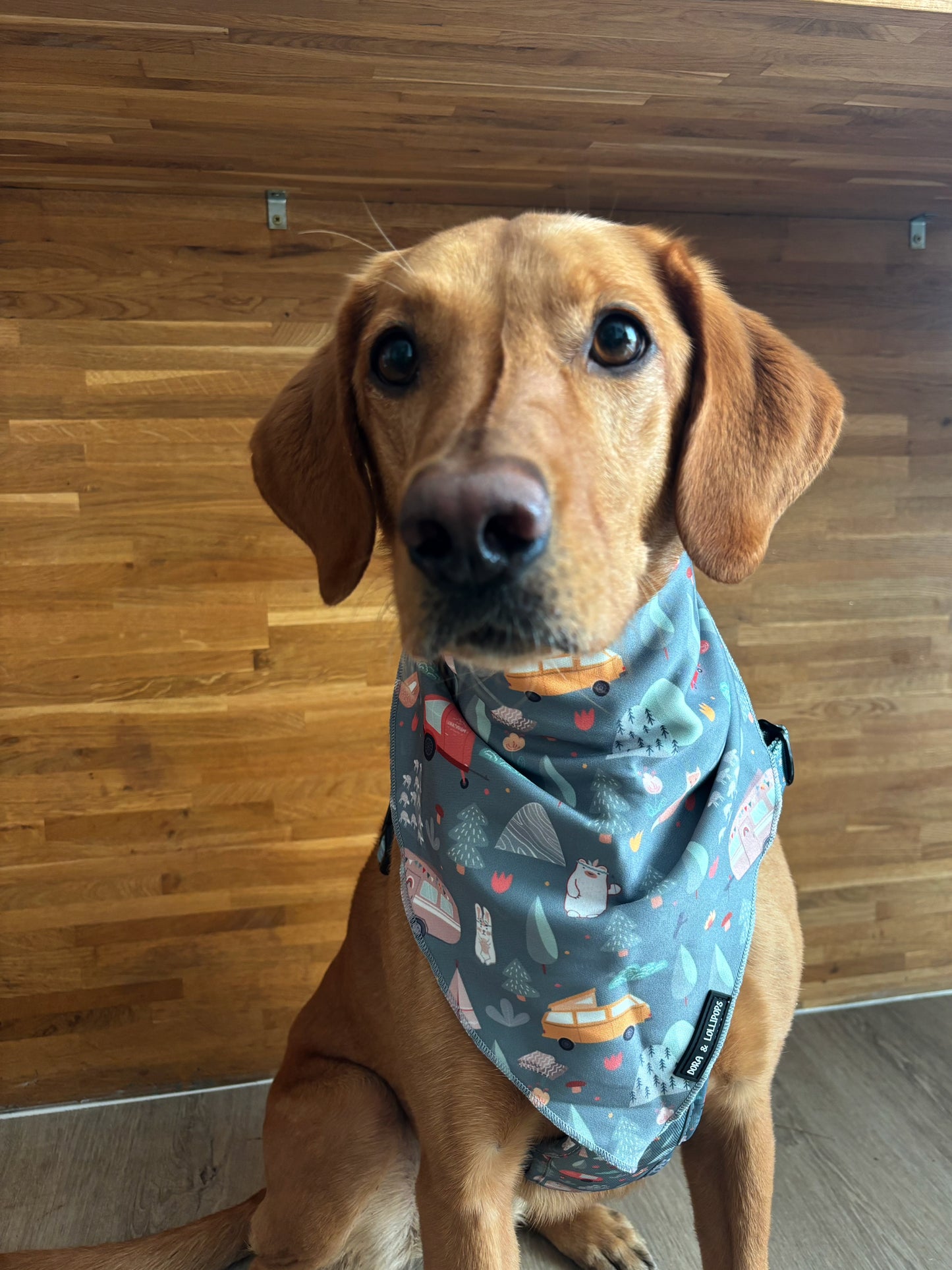 Outdoor Explorer Bandana / Neck Scarf
