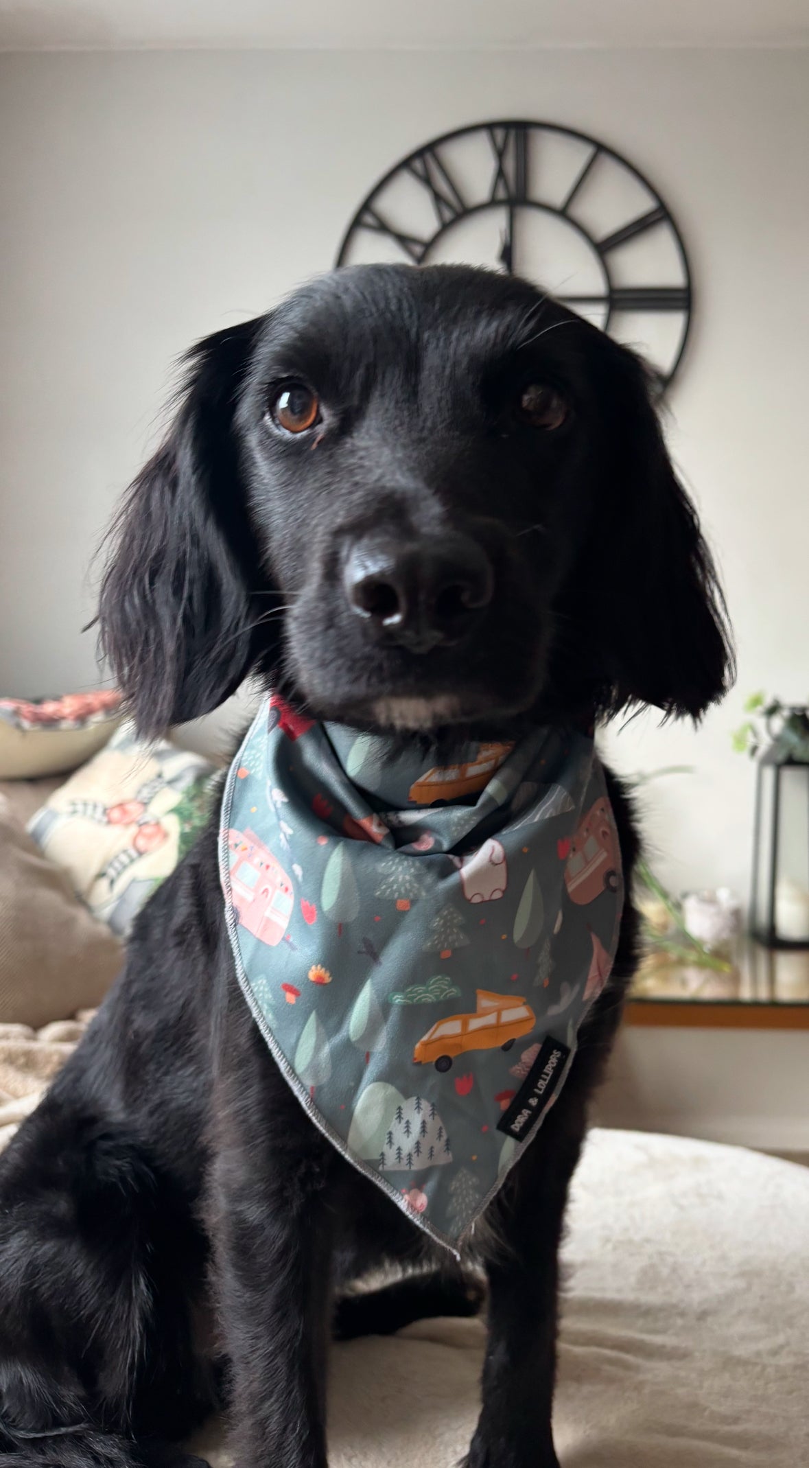 Outdoor Explorer Bandana / Neck Scarf