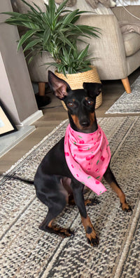 Cherry Drops Bandana / Neck Scarf