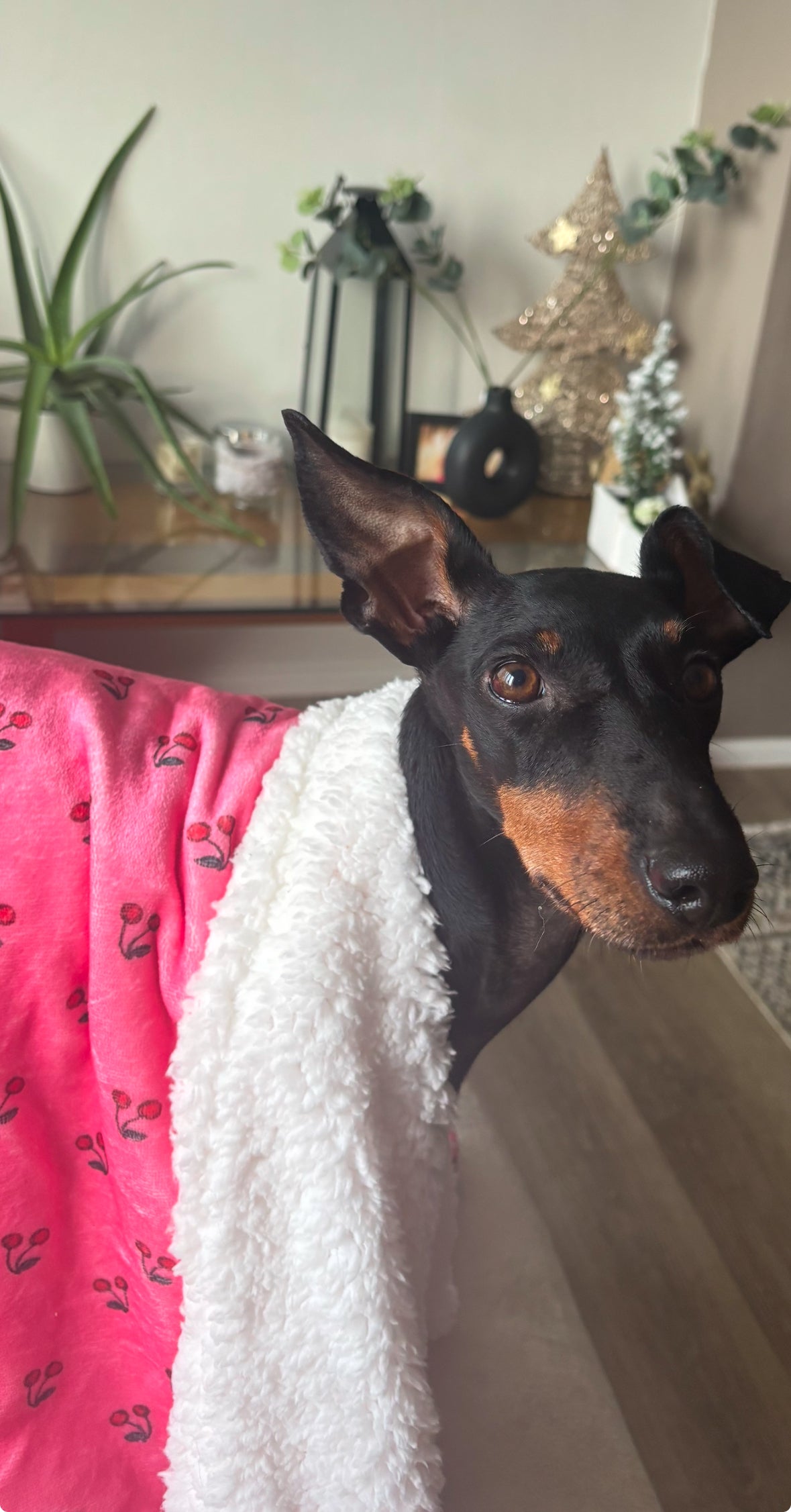 Cherry Drops Fleece Snuggle Blanket