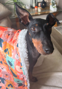 Dogs Club Fleece Snuggle Blanket