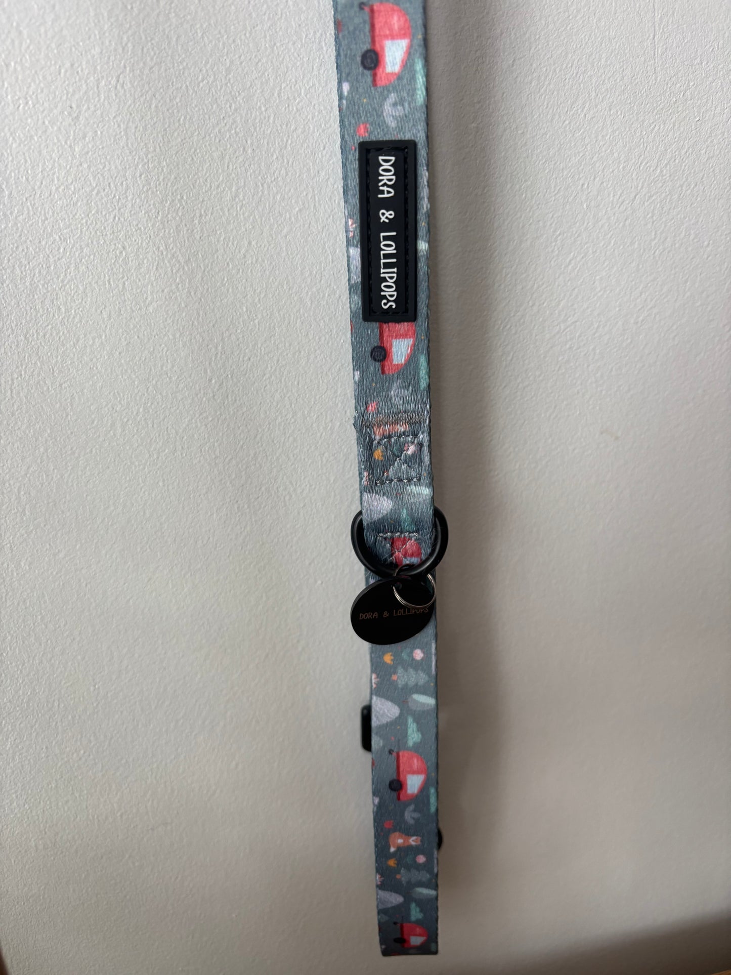 Outdoor Explorer Dog Lead