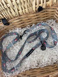 Outdoor Explorer Dog Lead