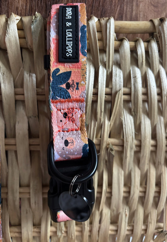 Dogs Club Dog Collar