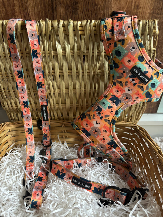 Festive Bundle Offer 1 (Choice of 3 Neoprene Harness Designs)