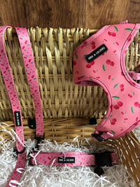 Festive Bundle Offer 1 (Choice of 3 Neoprene Harness Designs)