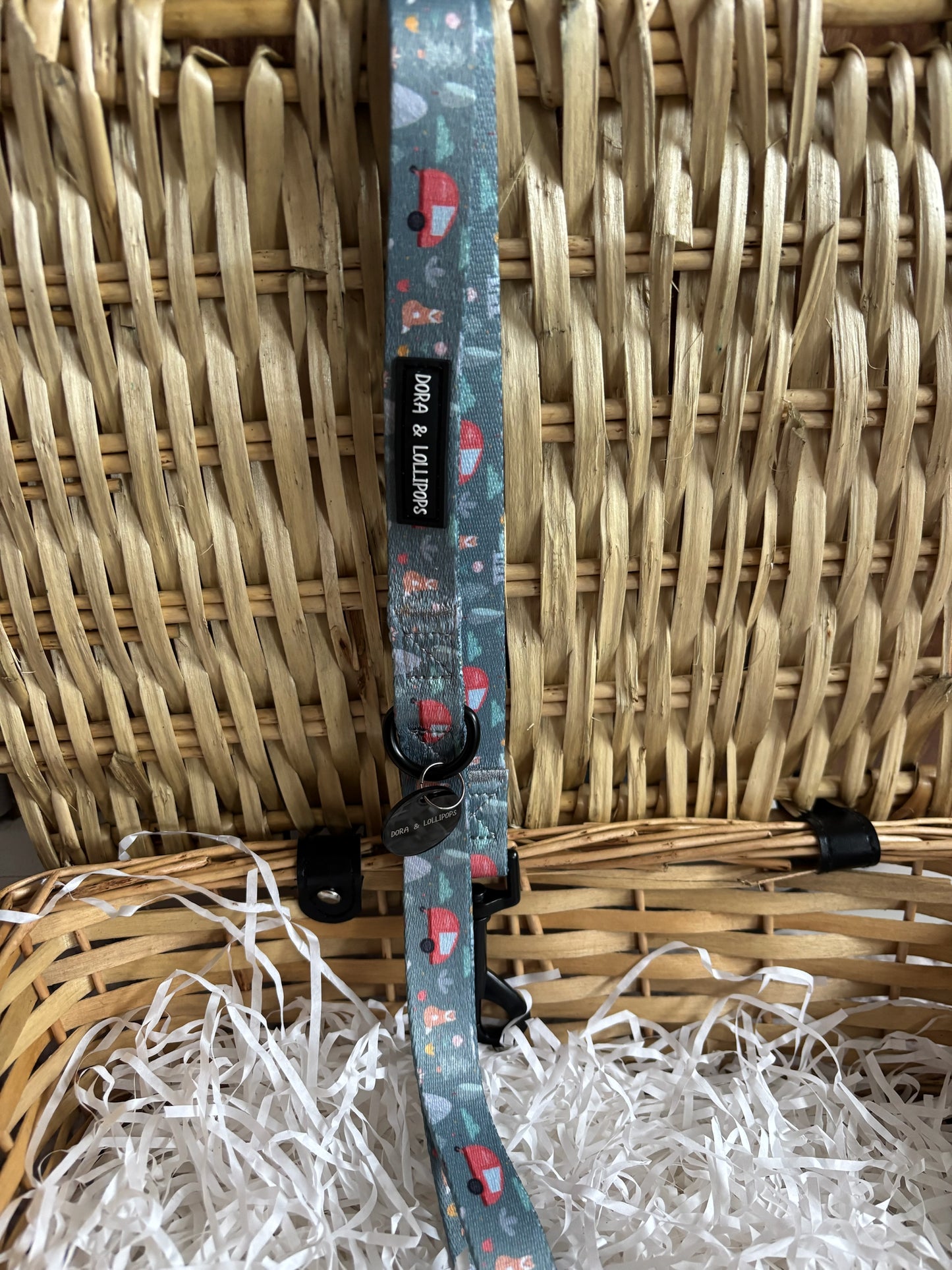 Outdoor Explorer Dog Lead