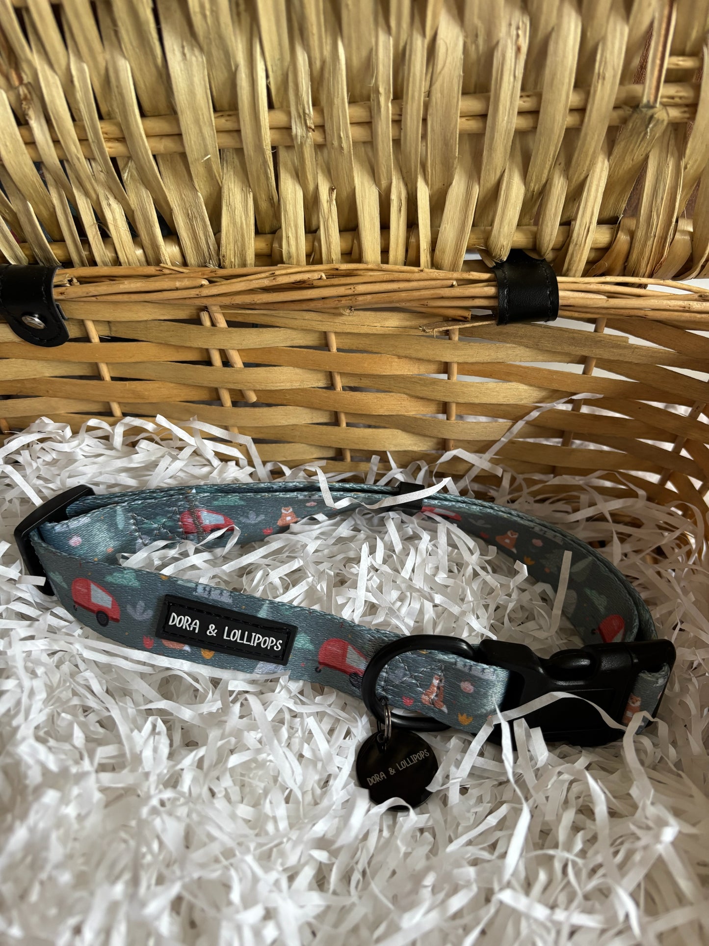 Outdoor Explorers Dog Collar