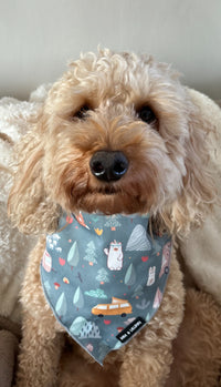 Outdoor Explorer Bandana / Neck Scarf