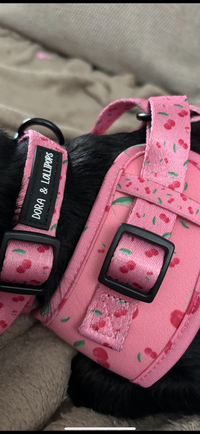 Cherry Drops Neoprene Dog Harness