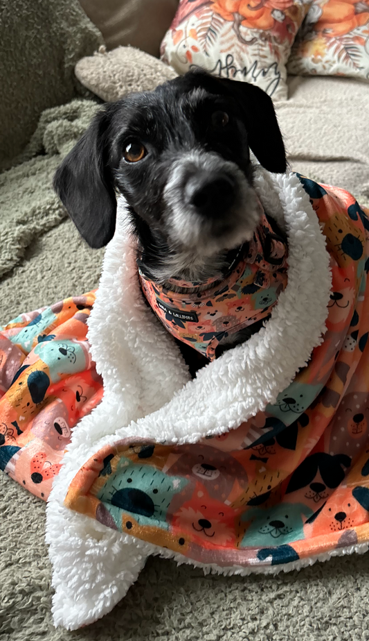 Dogs Club Fleece Snuggle Blanket