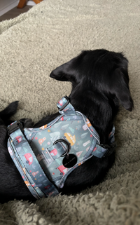 Outdoor Explorer No Pull Tough Adventure Harness