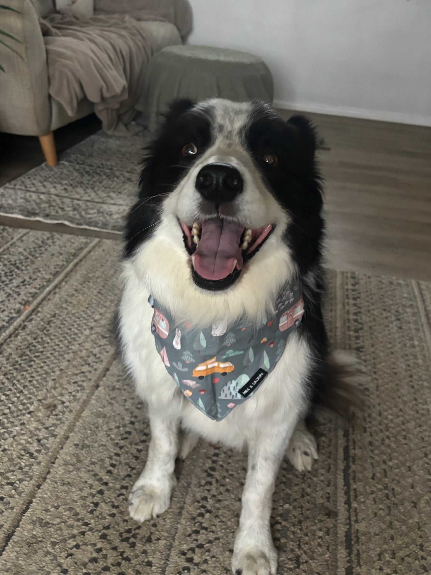 Outdoor Explorer Bandana / Neck Scarf